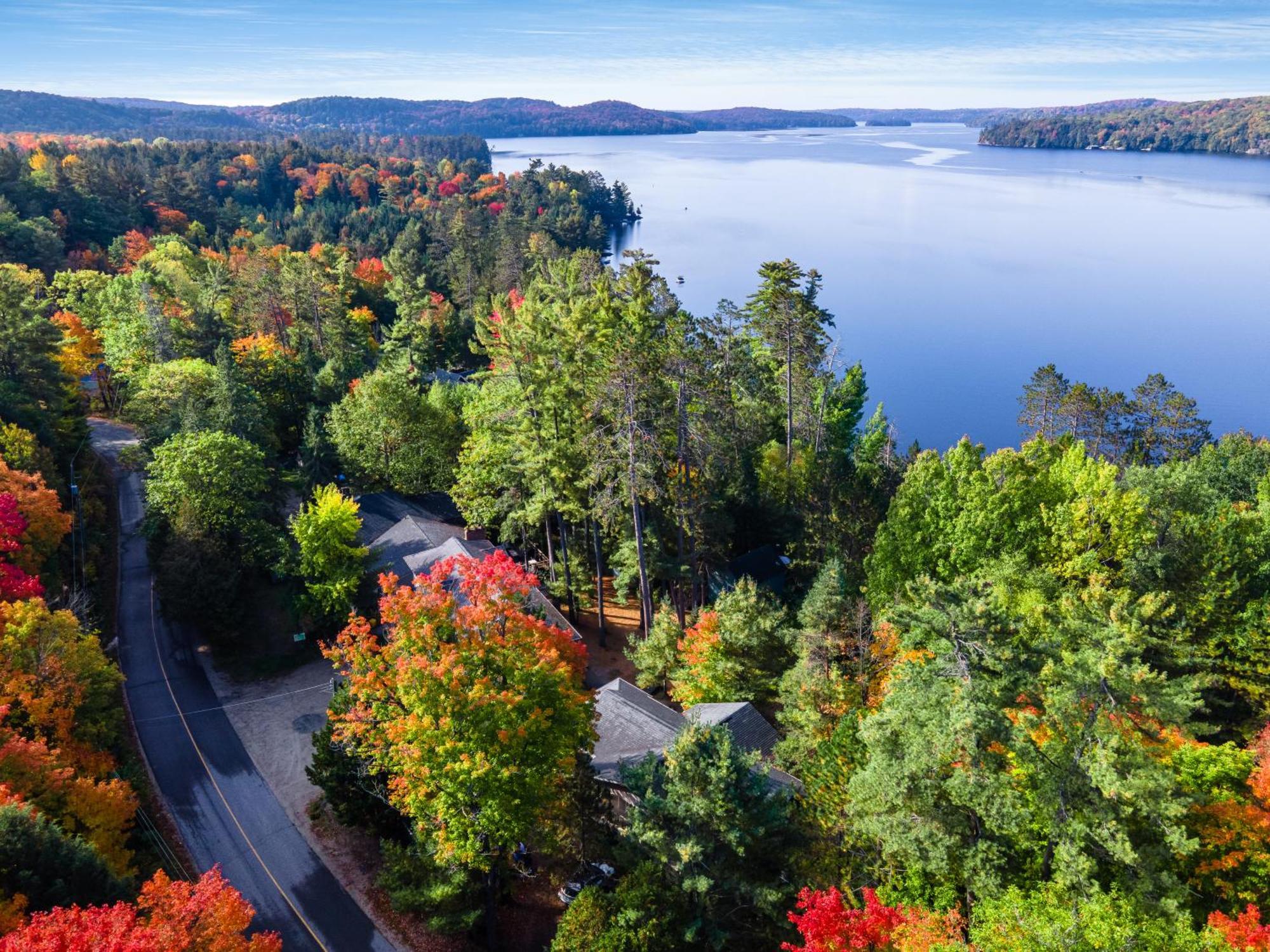 Muskoka Waterfront Retreat Villa Dwight Bagian luar foto