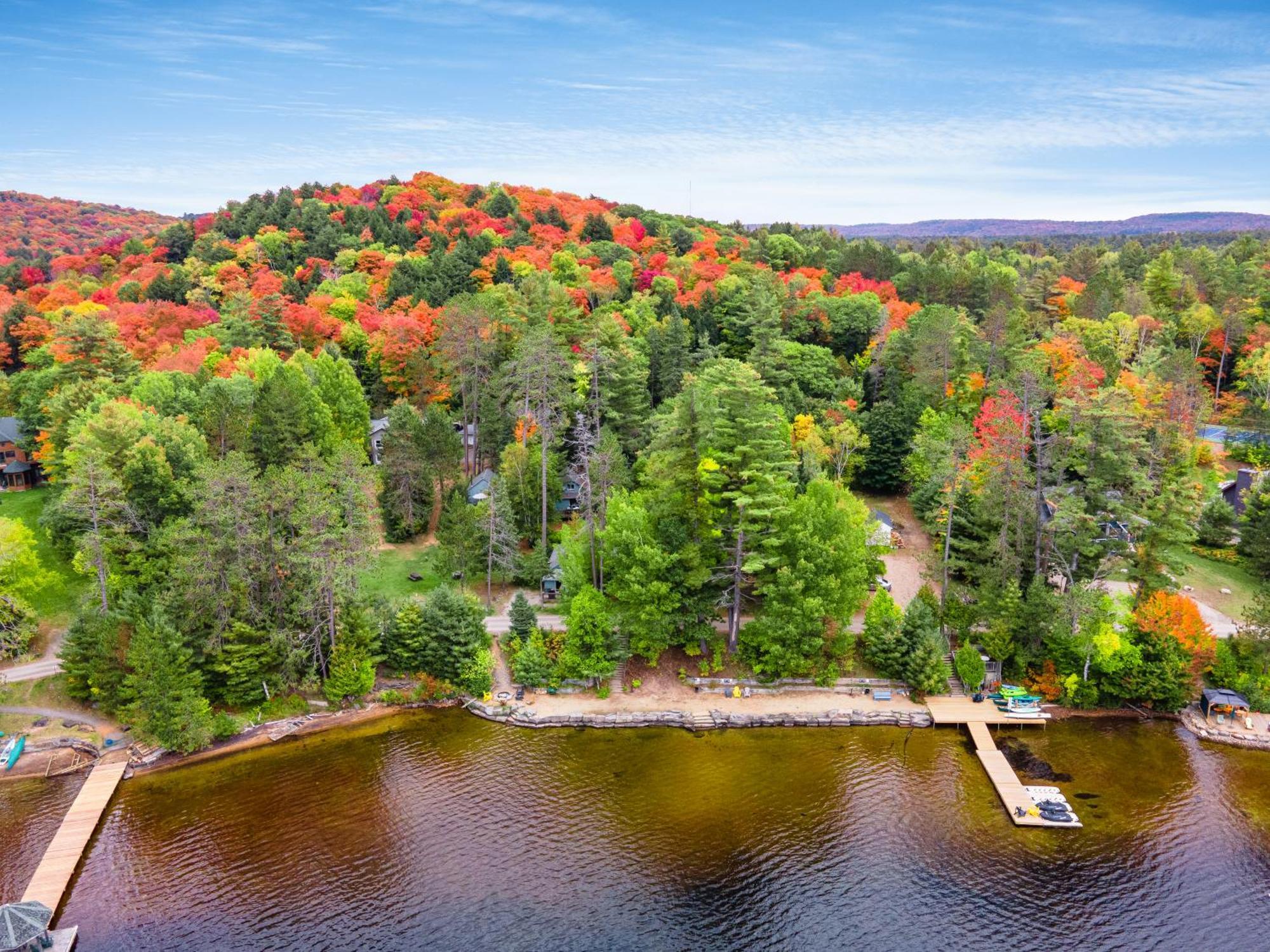 Muskoka Waterfront Retreat Villa Dwight Bagian luar foto
